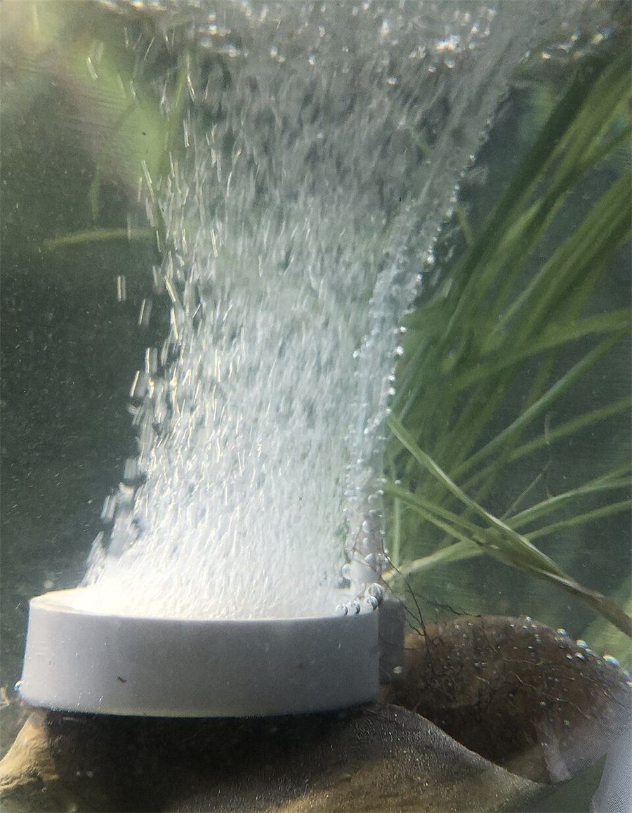 Piedra difusora
