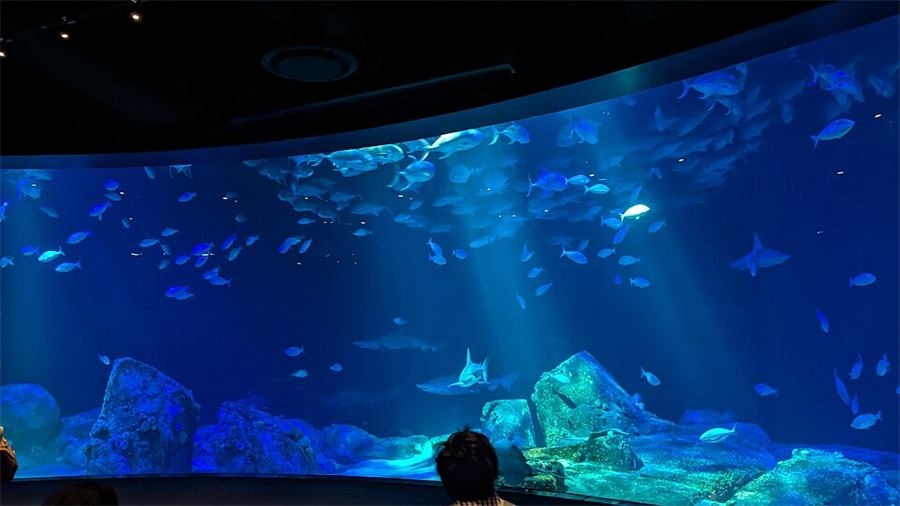 Acuario 40 galones